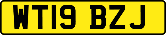 WT19BZJ