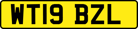 WT19BZL