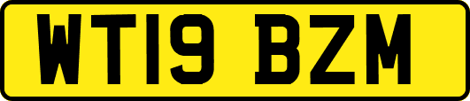 WT19BZM