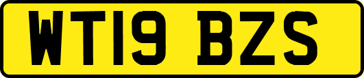 WT19BZS