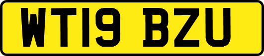 WT19BZU