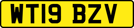 WT19BZV