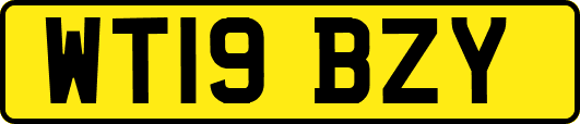 WT19BZY