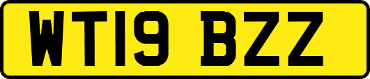 WT19BZZ