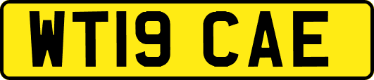 WT19CAE