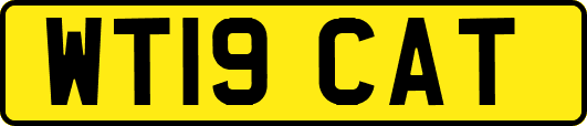 WT19CAT