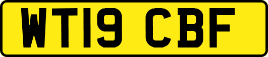 WT19CBF
