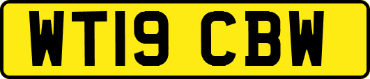 WT19CBW