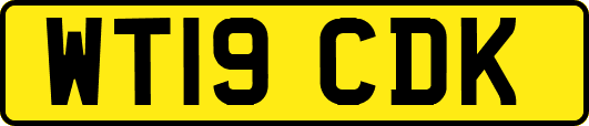 WT19CDK