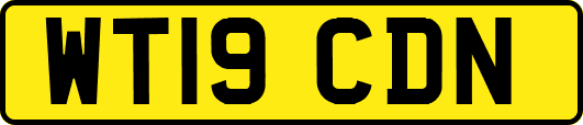 WT19CDN
