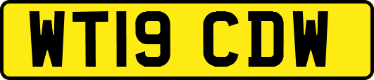 WT19CDW