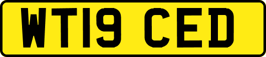 WT19CED