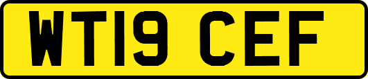 WT19CEF