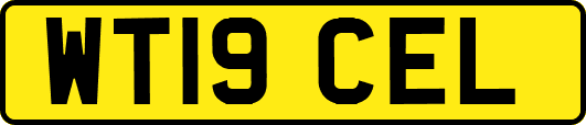 WT19CEL