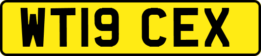 WT19CEX