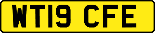 WT19CFE