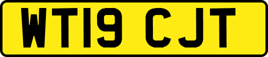 WT19CJT