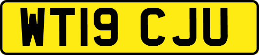 WT19CJU