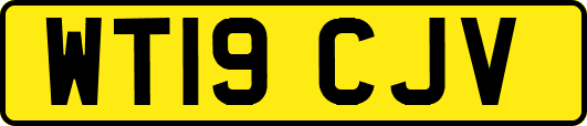 WT19CJV