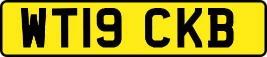 WT19CKB