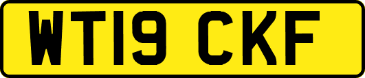 WT19CKF