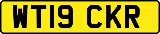 WT19CKR