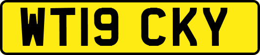 WT19CKY