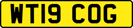 WT19COG
