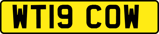 WT19COW
