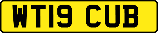WT19CUB