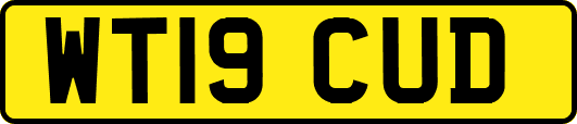 WT19CUD