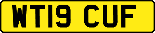 WT19CUF