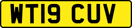 WT19CUV
