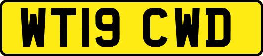 WT19CWD