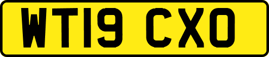 WT19CXO