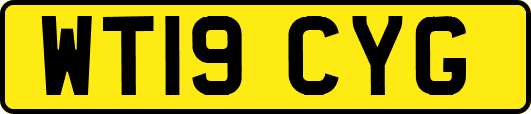 WT19CYG