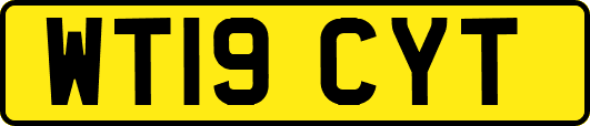 WT19CYT