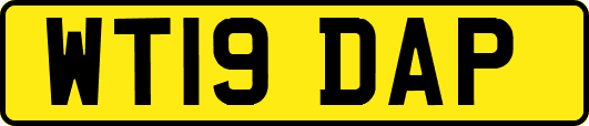 WT19DAP