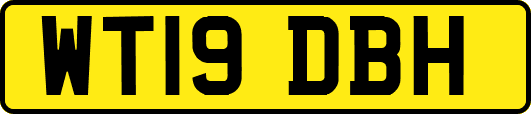 WT19DBH
