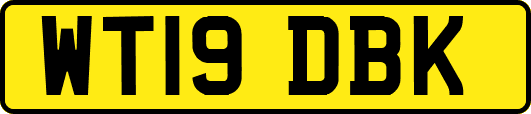 WT19DBK