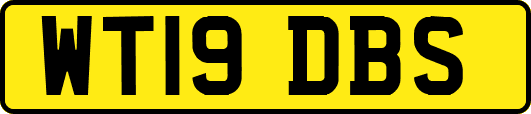 WT19DBS