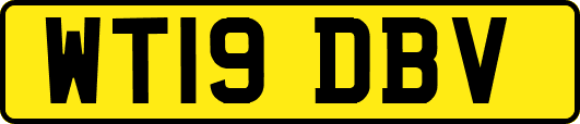 WT19DBV