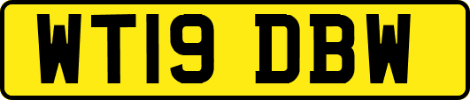 WT19DBW