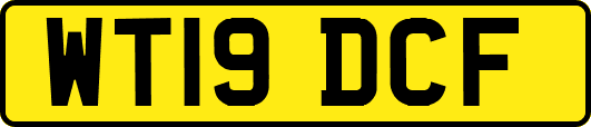WT19DCF
