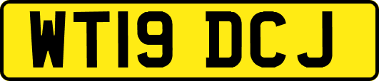 WT19DCJ