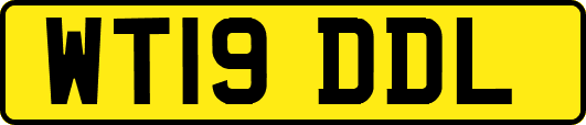 WT19DDL