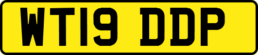 WT19DDP