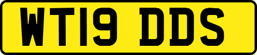 WT19DDS