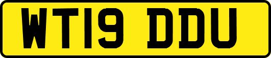 WT19DDU