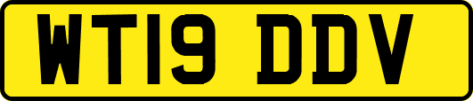 WT19DDV